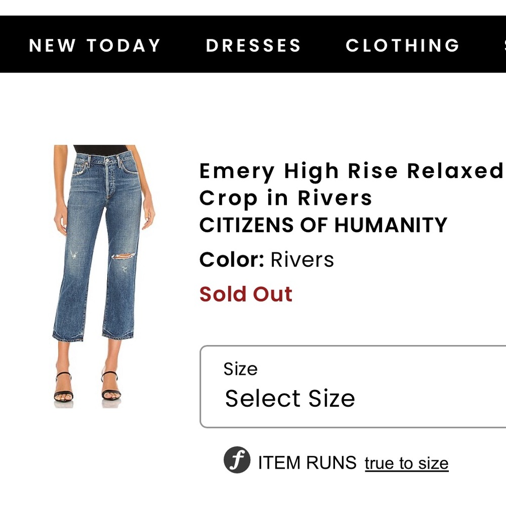Citizens of Humanity Emery High Rise Relaxed Crop in Rivers size 26